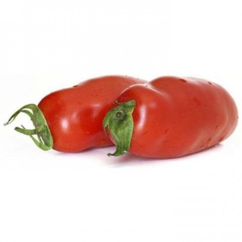 Pomidor paprykowy