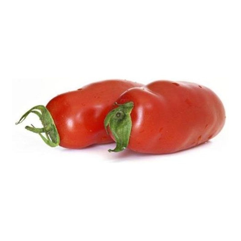 Pomidor paprykowy
