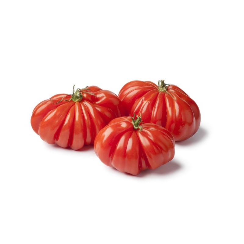 Pomidor rebelion
