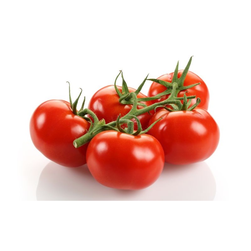 Pomidor belgijski
